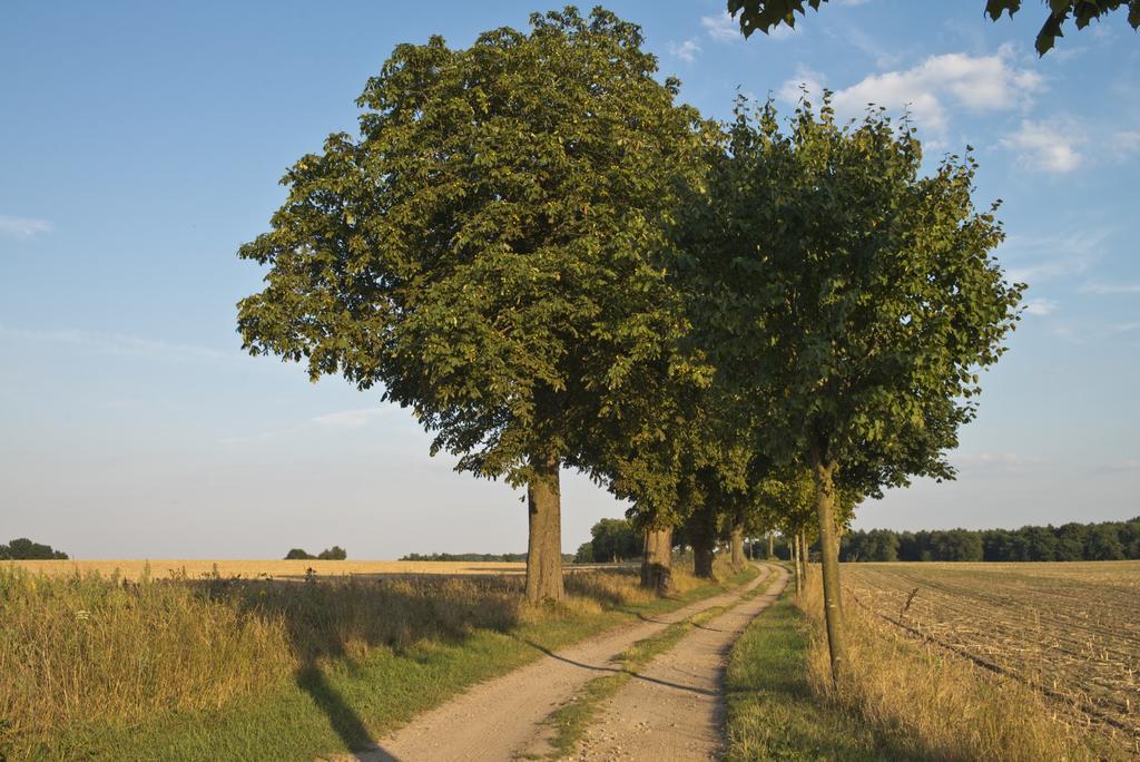 Romantik Gutshaus 4* Ludorf